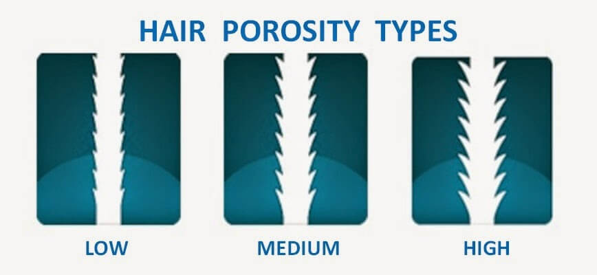 hair pororsity types