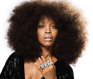 Type 4C - Kinky Hair